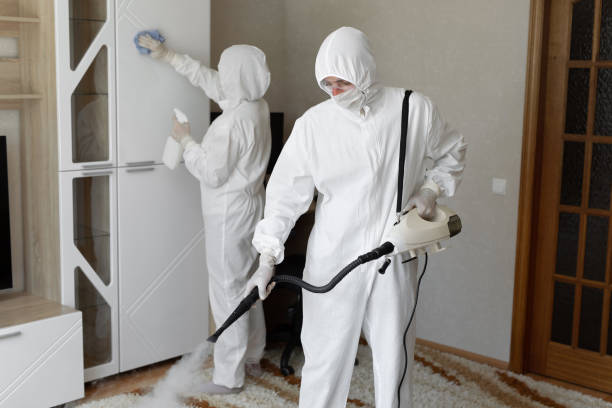 Crawl Space Mold Removal in Coopersburg, PA